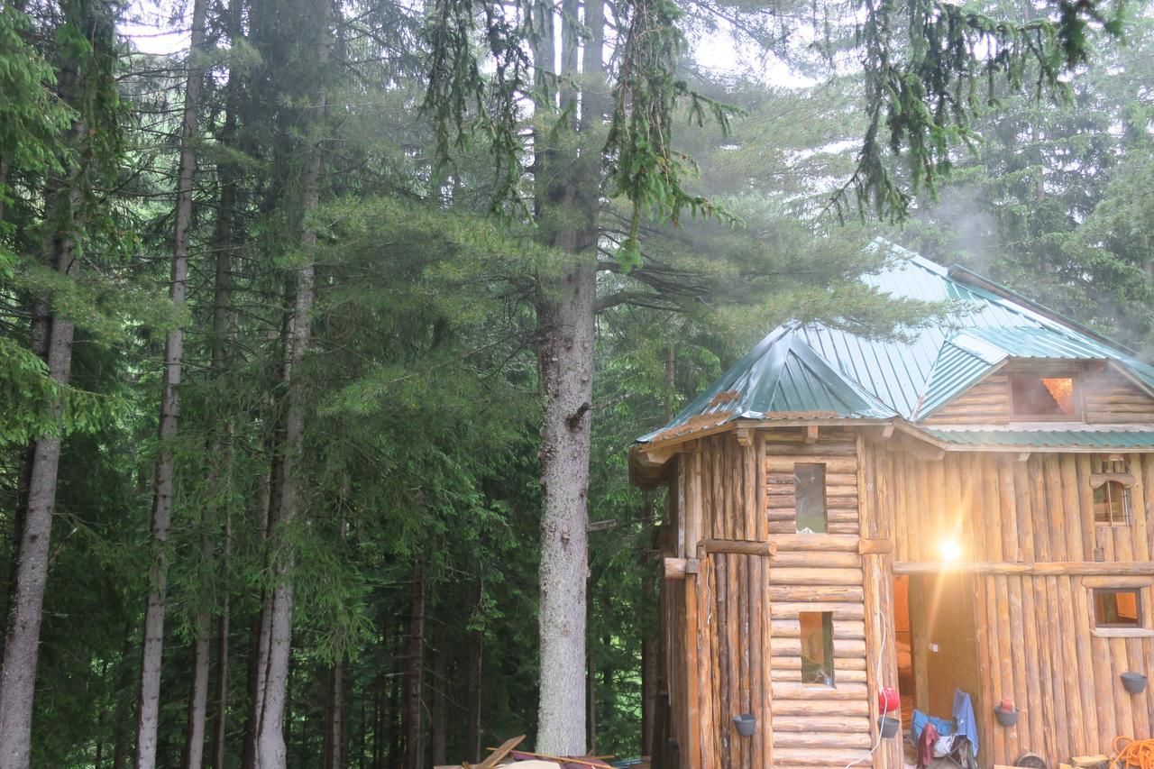 Гостевой дом Lodge Between The Pine Trees Dubočak-11