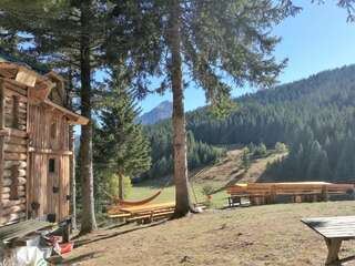 Гостевой дом Lodge Between The Pine Trees Dubočak Четырехместный номер эконом-класса с общей ванной комнатой-1