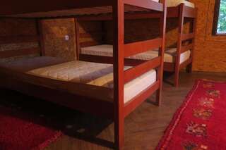 Гостевой дом Lodge Between The Pine Trees Dubočak Кровать в общем номере для мужчин и женщин с 10 кроватями-16
