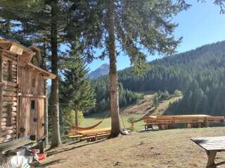 Гостевой дом Lodge Between The Pine Trees Dubočak Четырехместный номер эконом-класса с общей ванной комнатой-27