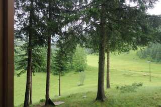 Гостевой дом Lodge Between The Pine Trees Dubočak Кровать в общем номере для мужчин и женщин с 10 кроватями-9