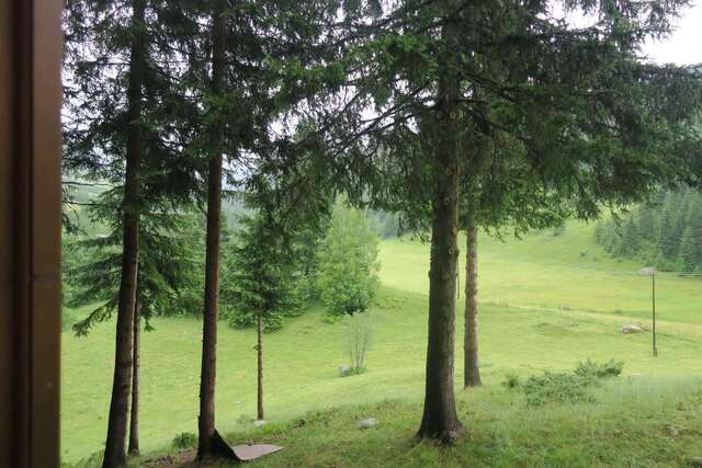 Гостевой дом Lodge Between The Pine Trees Dubočak-11